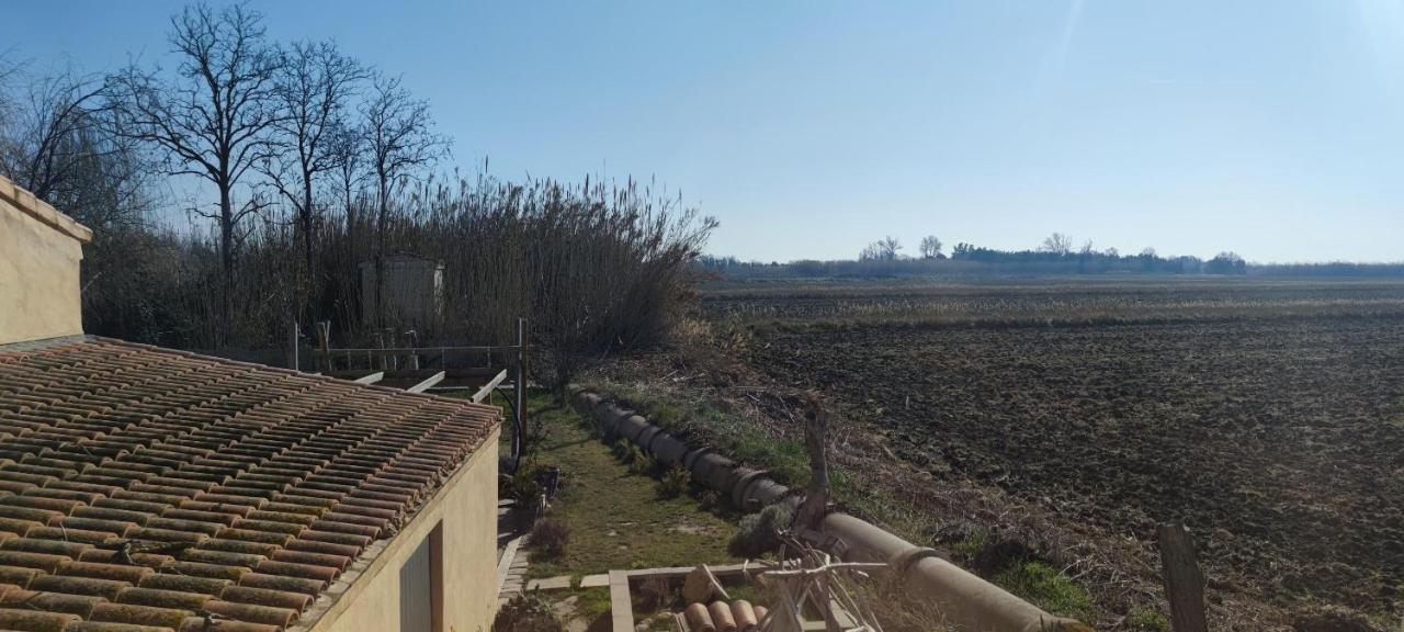 Appartement Au Coeur Des Rizieres Salin-de-Giraud Exteriör bild