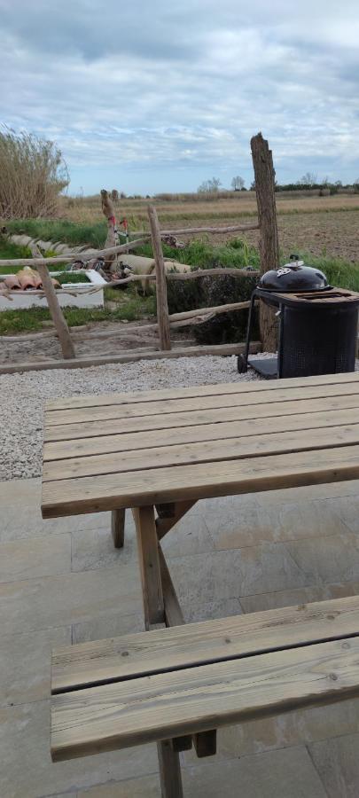 Appartement Au Coeur Des Rizieres Salin-de-Giraud Exteriör bild